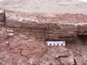 Cross laminated sandstone near MDRS