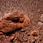 Footprint on Mars