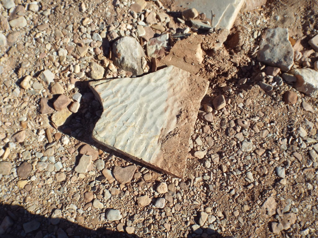 Ripples preserved in sandstone.